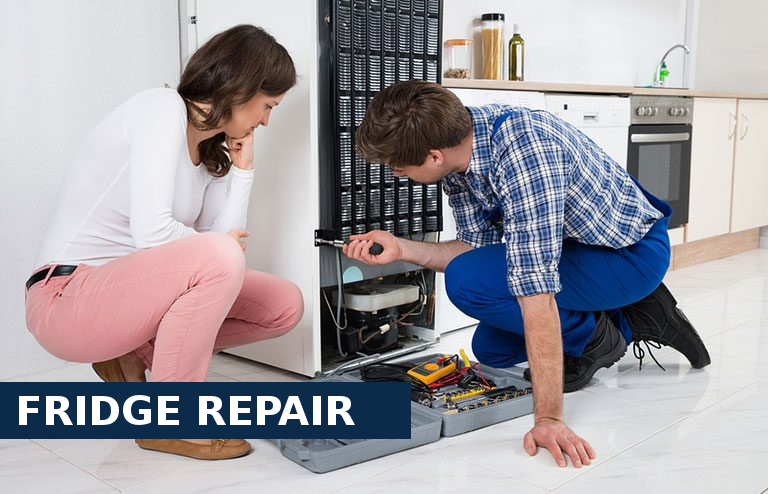 Fridge Repair Erith
